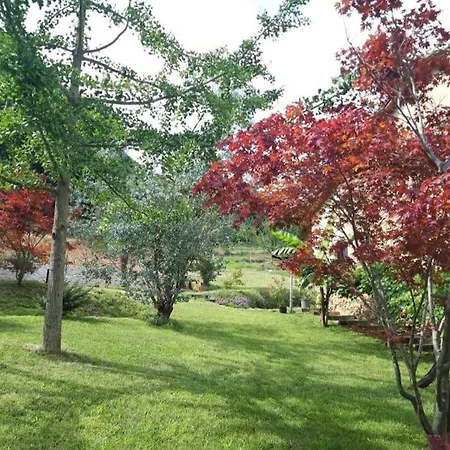 아파트 Istanti - Menta